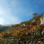 DSCN4450