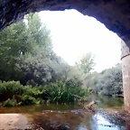 DSCN8062