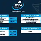 CopaEspa?aFS2016