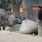 Zoo de Barcelona 03-03-12 426