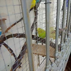 IMG_20180309_165855