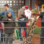 Zoo de Barcelona 03-03-12 369