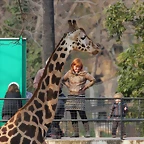 Zoo de Barcelona 03-03-12 378