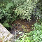 DSCN8386