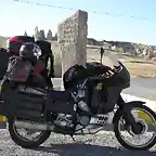 africa twin