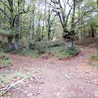 DSCN8440
