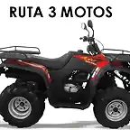 gilera-hot-bear-250_MLA-O-2684534478_052012