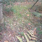 DSCN9708