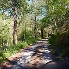 DSCN0047
