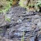 DSCN7789