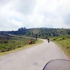 DSCN5909