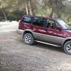 terrano 1