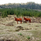 DSCN9540'2