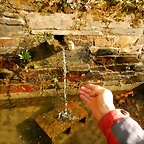 DSCN5069