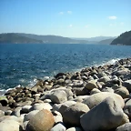 DSCN6785