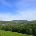 80-IMG_1460