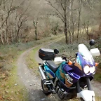 DSCN5408