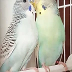 FB_IMG_1540402046261