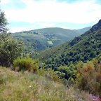 DSCN8187