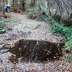 DSCN8989