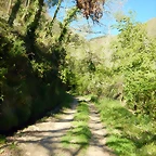 DSCN0095