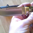 IMAG0350_653x390