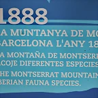 Zoo de Barcelona 03-04-11 353
