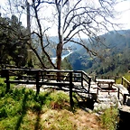 DSCN5042