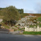 DSCN6233