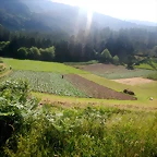 DSCN6198