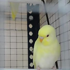 S7d