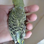 Q8b