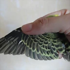 Q8c