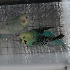 DSC00458
