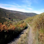 DSCN1408