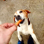 DSCN4295
