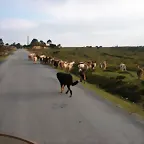 reglaje 042