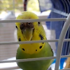 20190629_143326