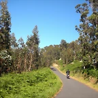 DSCN6789