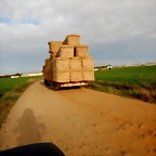DSCN7917