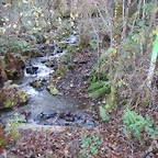 DSCN9164