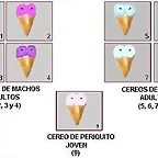 machoyhembra