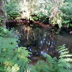 DSCN8454