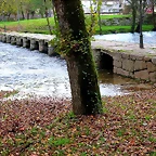 089-IMG_3688