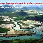 Diapositiva6