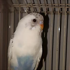 20190122_120209