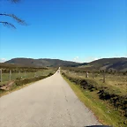 DSCN0119