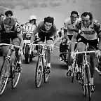 TOUR-1978-HINAULT-KUIPER-ZOETEMELK-POLLENTIER-BRUYERE.