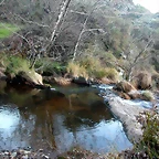 DSCN6704