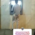 Video Vane IG Stories 8-11-2018 (2)